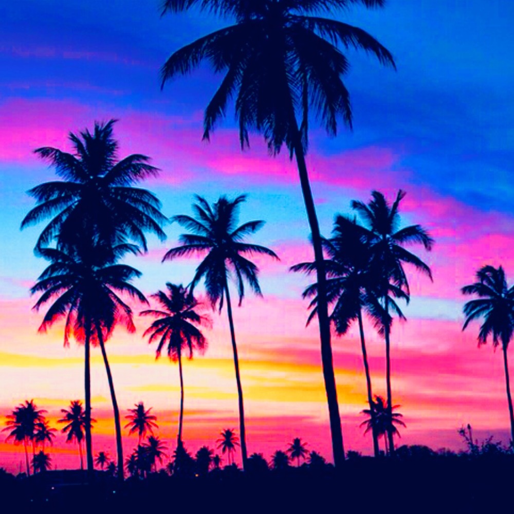 Meet your Posher, Ariana